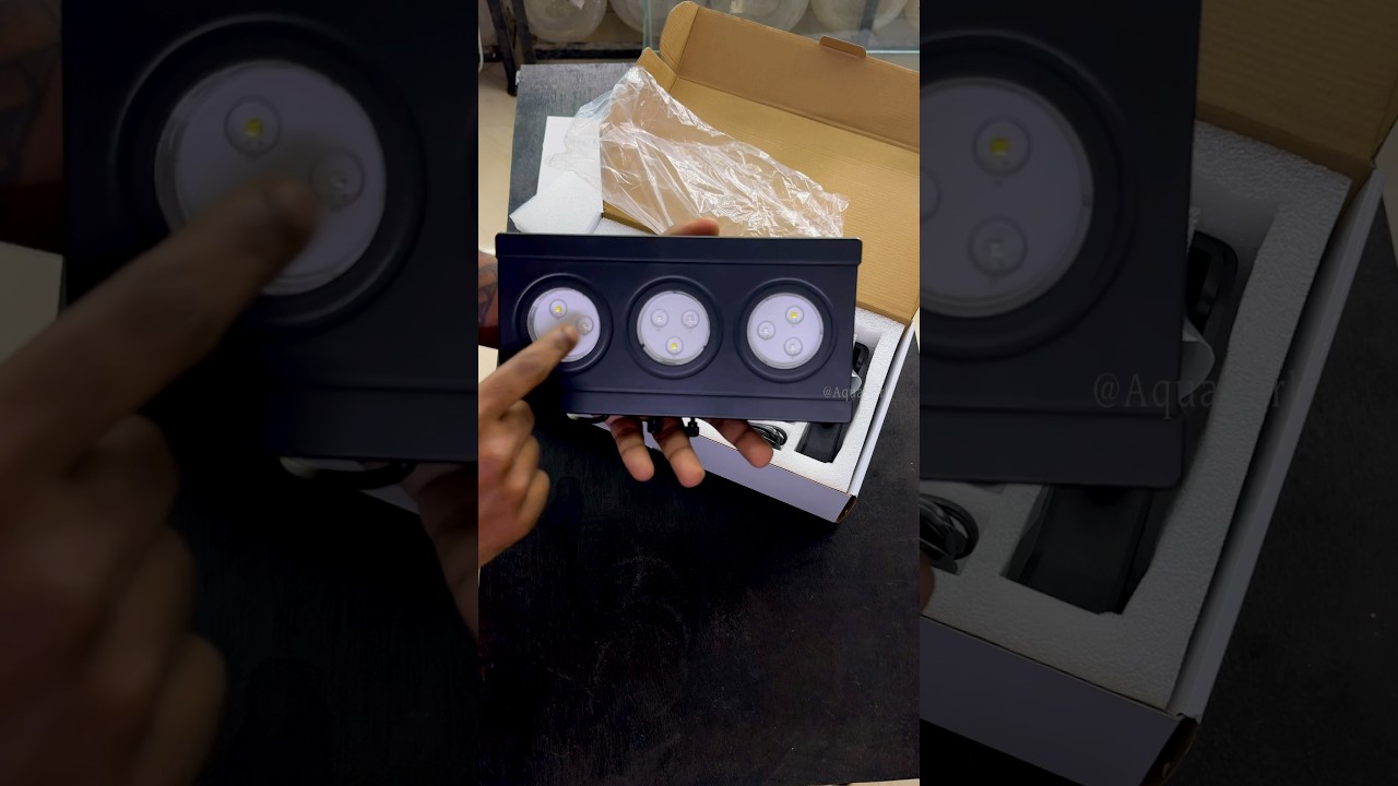 Transform Your Nano Marine Tank with This New Lighting Solution 🌊