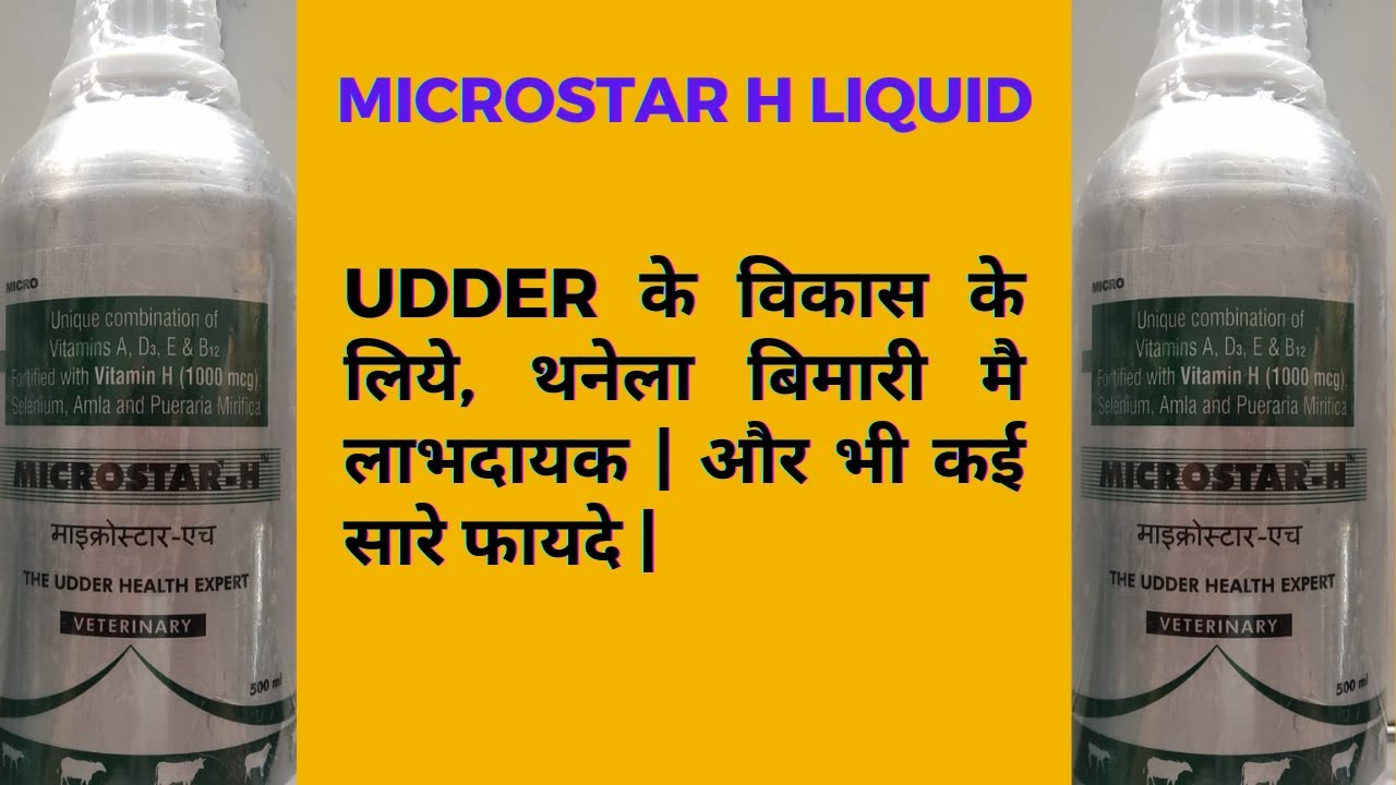 Microstar H Liquid: Udder Health & Animal Feed Supplement 🐄