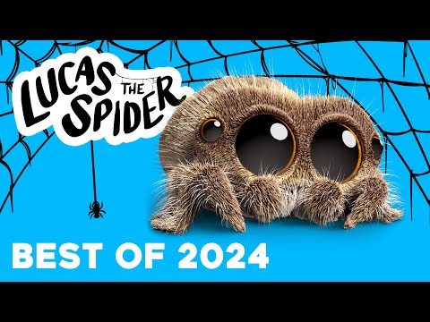 Lucas the Spider BEST of 2024 Compilation!