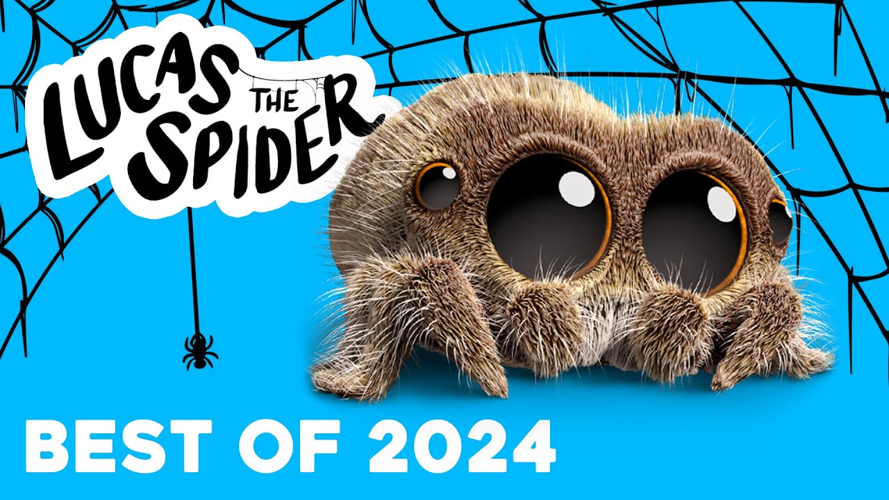 Best of Lucas the Spider 🌟 2024 Compilation – Cute Moments You Can't Miss!