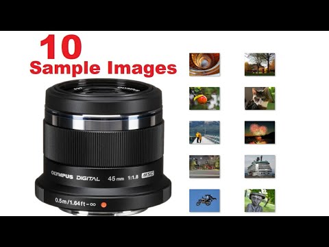 10 Sample Images