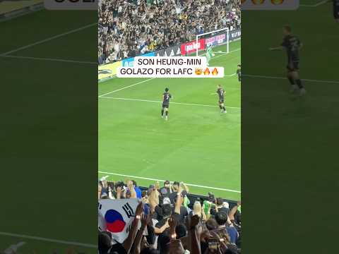 Son GOLAZO for LAFC 🤯⚽️ #soccer #fyp