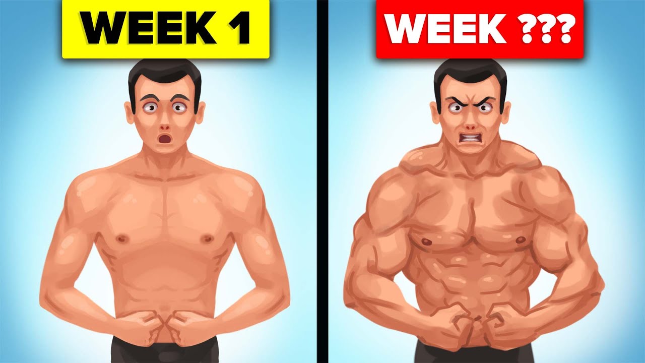 What Happens to Your Body When You Exercise 🏃‍♂️