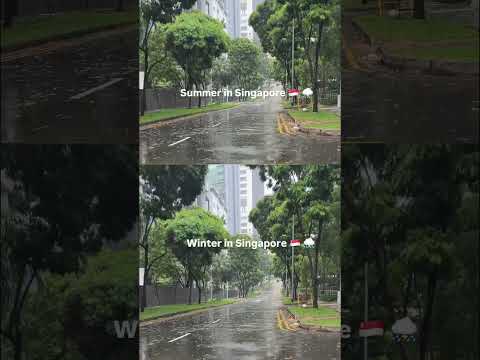 When people ask me how is the weather in Singapore?🇸🇬 #shorts #viralvideo #singapore #rain