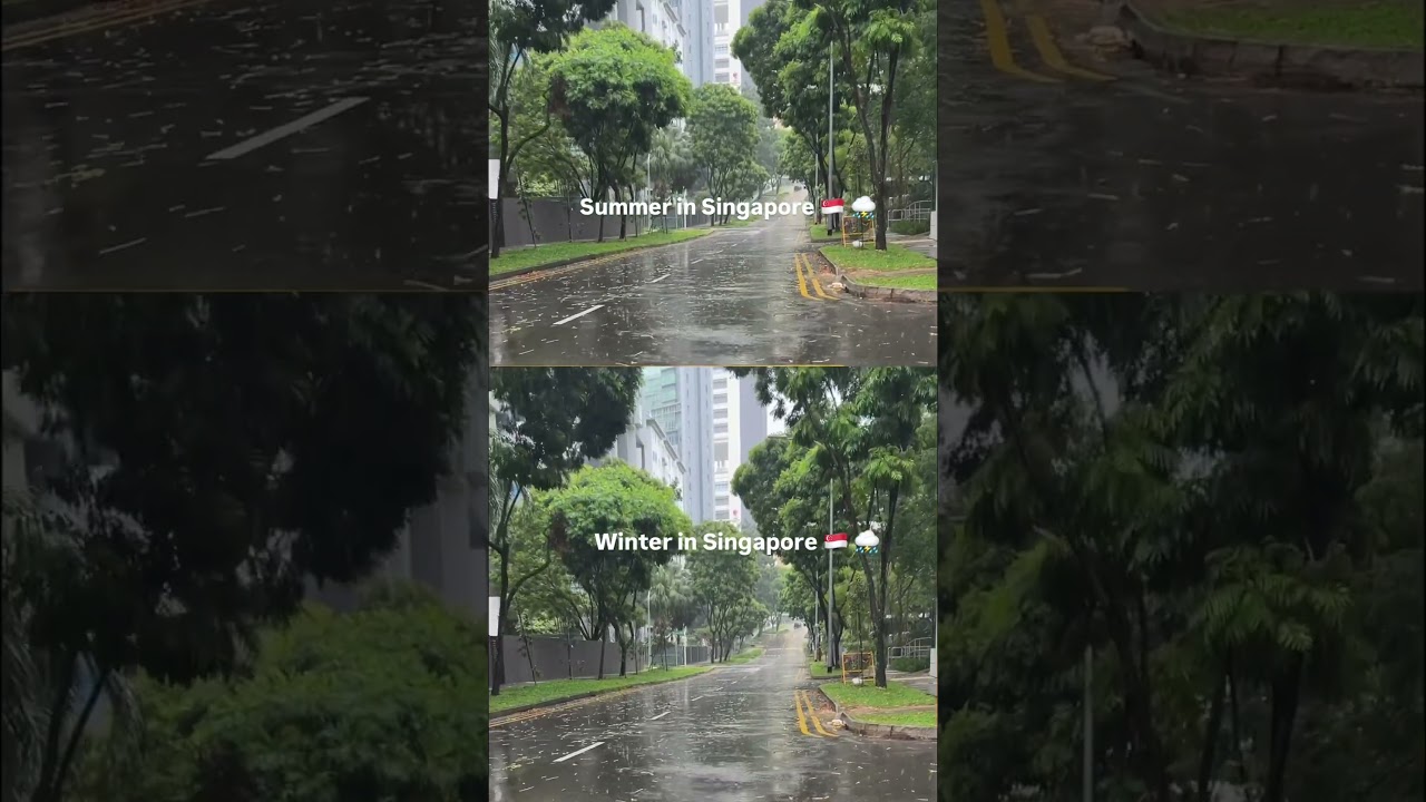 Singapore Weather Update 🌧️ | What You Need to Know