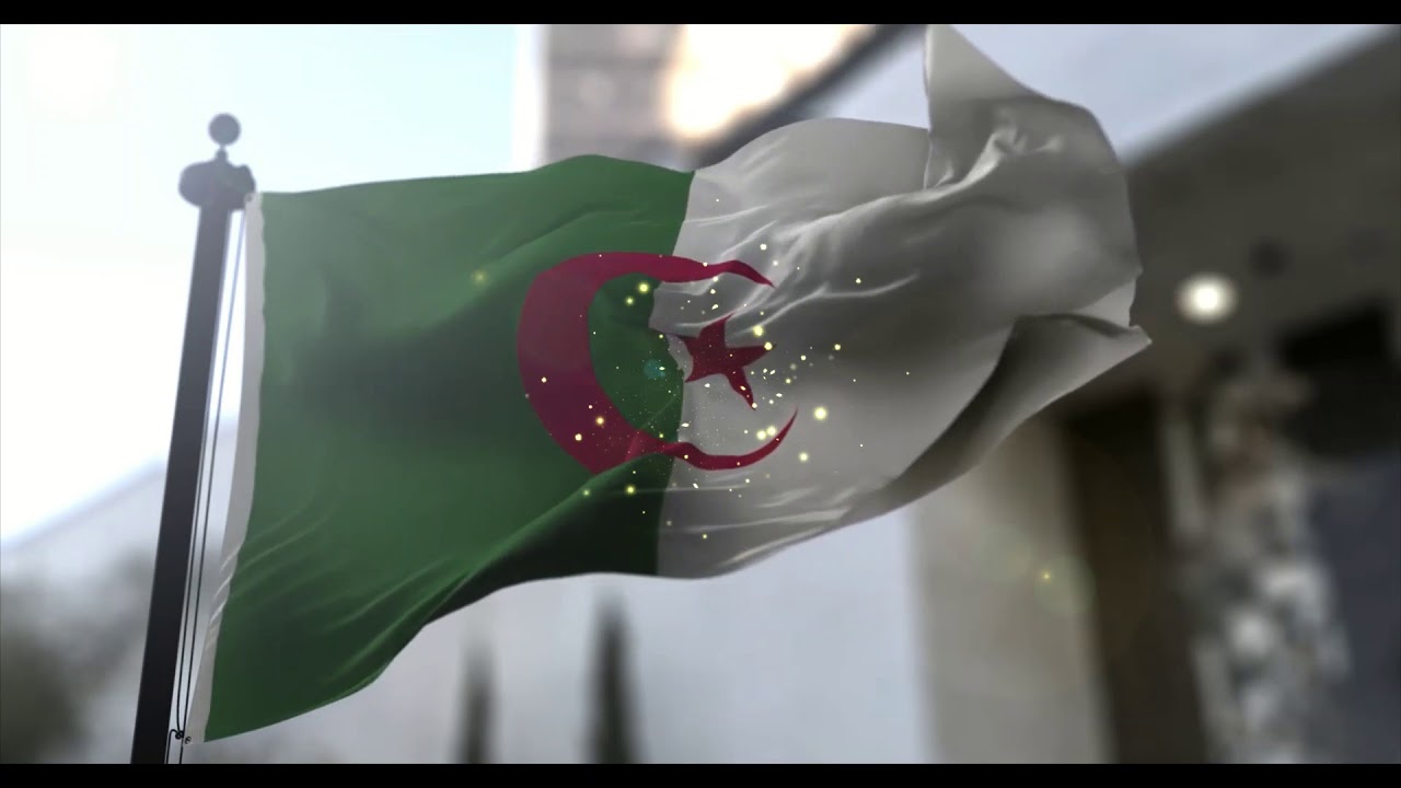 DJ Hamida & Laila Chakir - Zinaoua Remix 🇩🇿