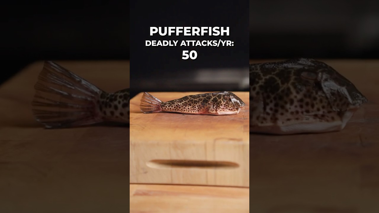 Cooking the World's Deadliest Animals 🐍