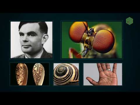 New theory deepens understanding of Turing patterns