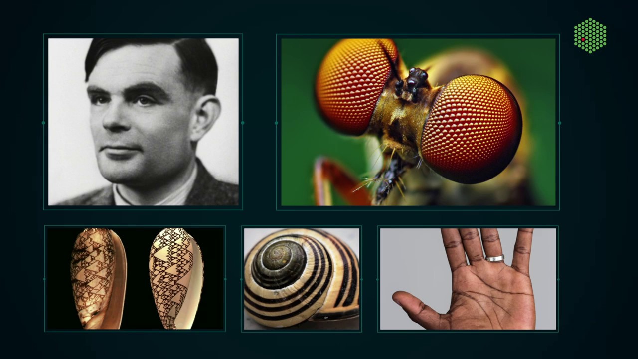 Revolutionary Research Enhances Turing Pattern Theory 🌟