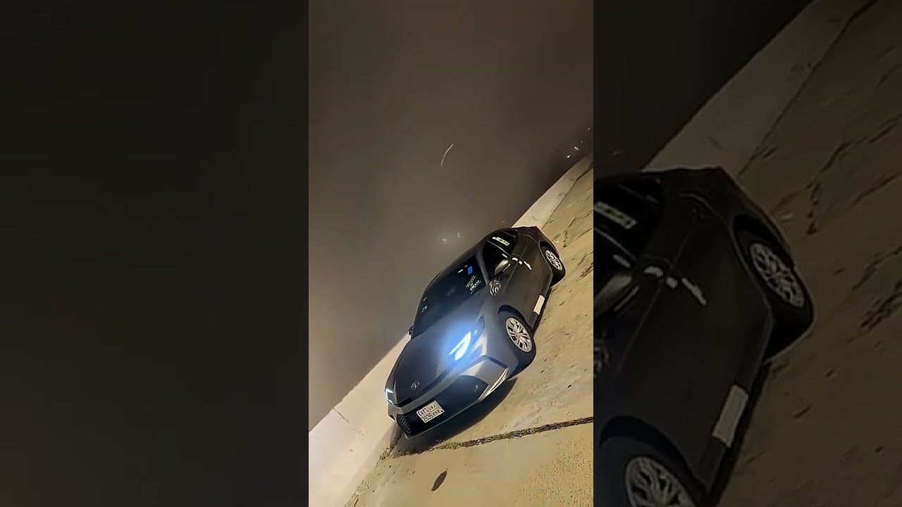 تعرف على صفات رفيقك وقت الشدة 🤝