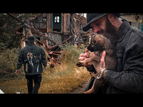 Mama mit 8 Welpen von der Strasse gerettet