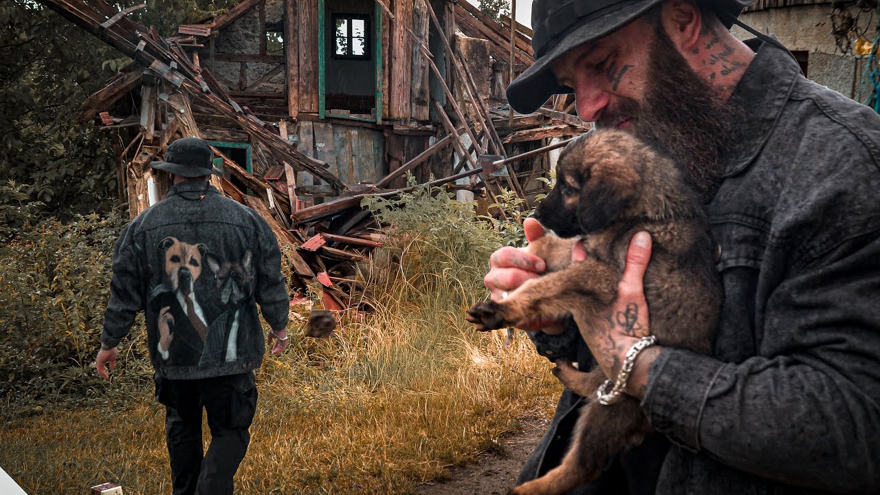 Herzergreifende Rettung: Mama-Hund mit 8 Welpen von der Straße gerettet 🐶