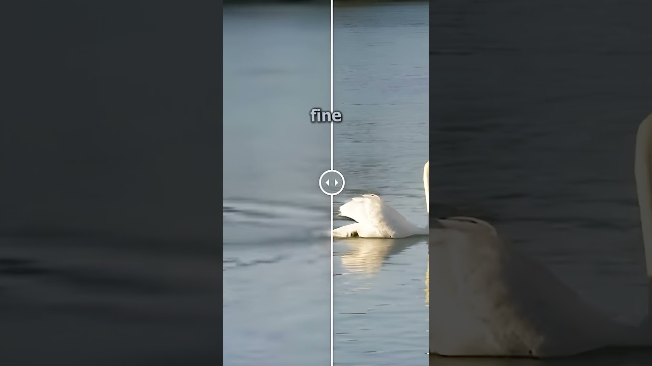 Adobe Launches Cutting-Edge Video Upscaling AI ๐