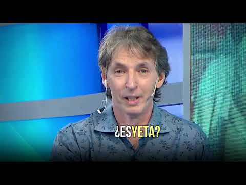 ¿Es Yeta? 🤔