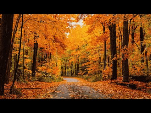 Осень - Красивая музыка для души! Самая красивая мелодия на свете! Мелодия осени! Песня ОСЕНЬ