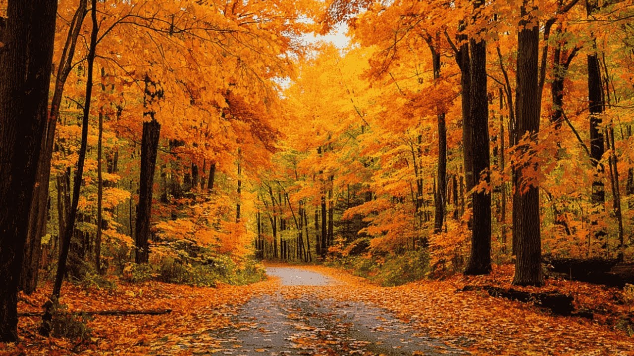 Осень — Красивая музыка для души 🍂