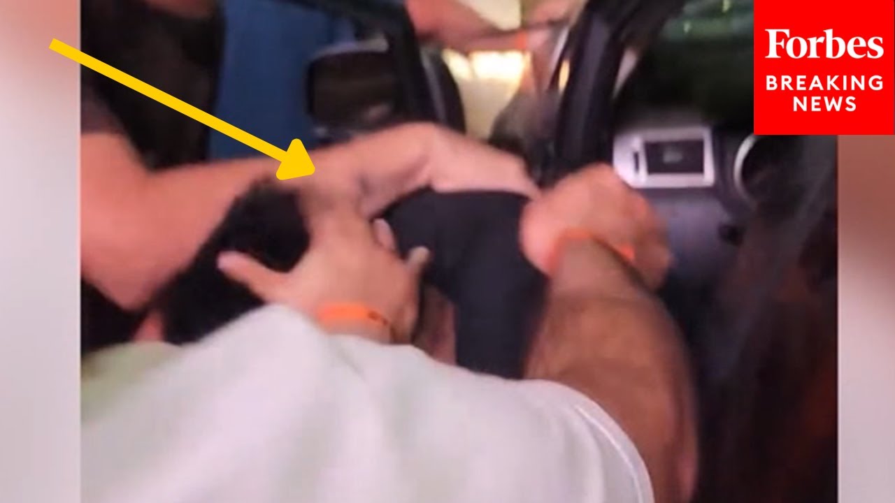 LA Driver Pulled From Car & Beaten After Crowd Incident 🚗