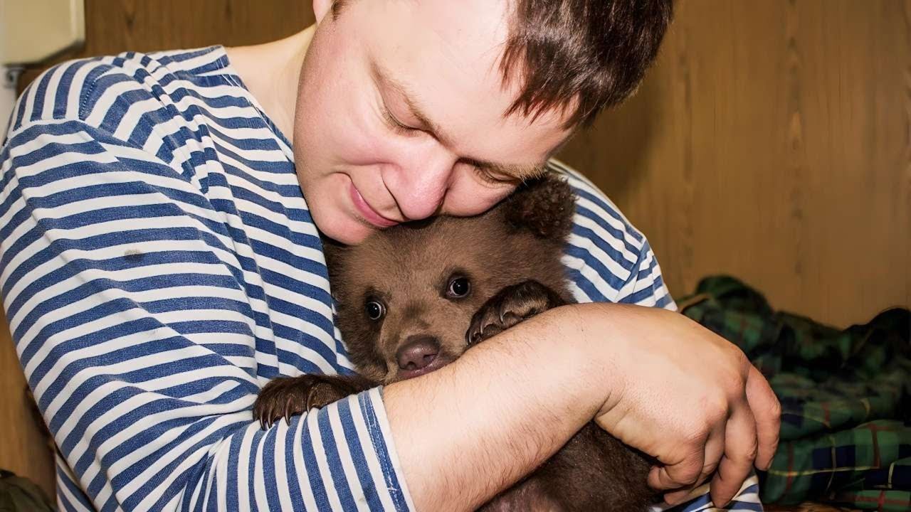 Как я бросил медведя: история дружбы 🐻