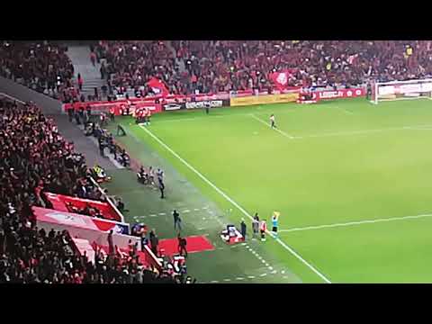 Lille Angers 2019 but sur penalty!