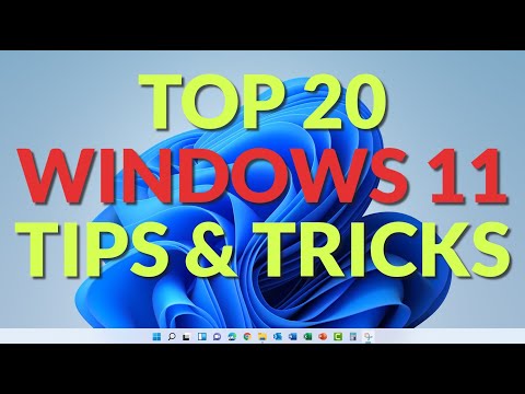 Top 20 Windows 11 Tips & Tricks for Enhanced Productivity