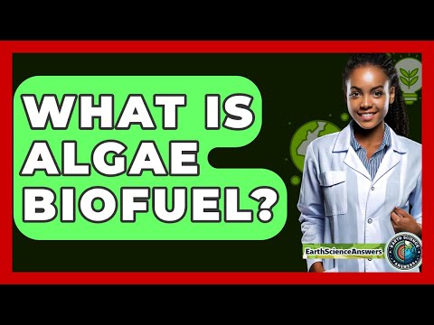 What Is Algae Biofuel? - Earth Science Answers