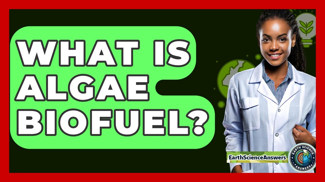 Algae Biofuel Explained 🌱 – The Future of Renewable Energy