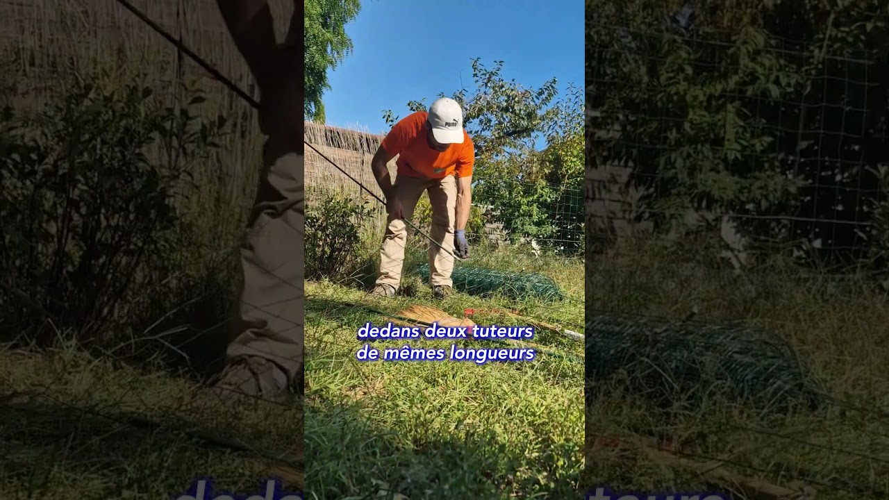 Pourquoi le jasmin étoilé est la meilleure plante grimpante ✨