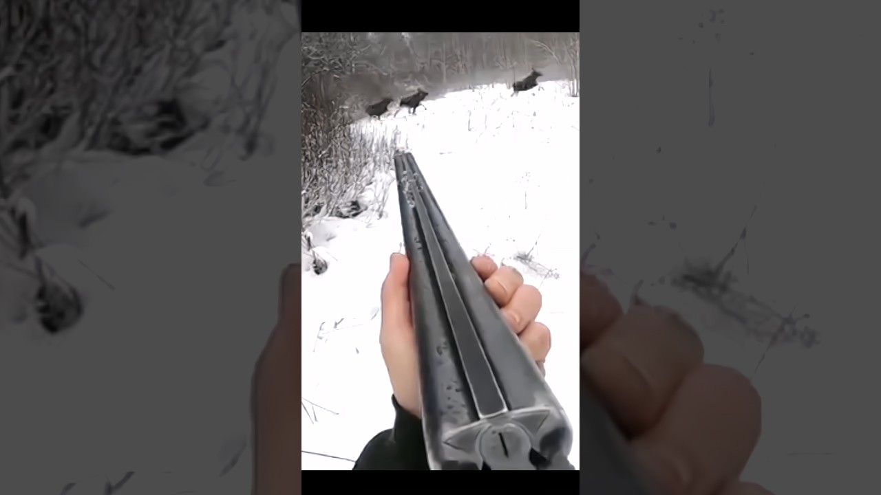 Chasing Big Moose in Snowy Terrain ❄️
