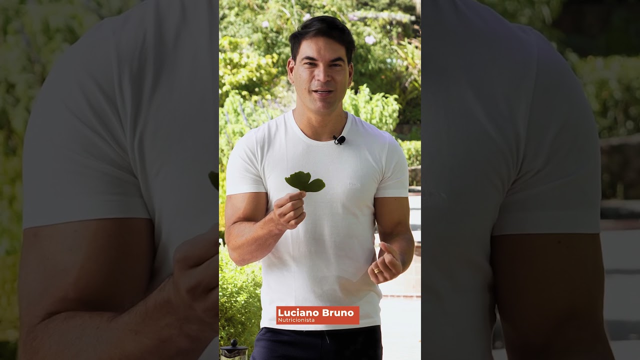 Ginkgo Biloba para Memória e Concentração 🌿