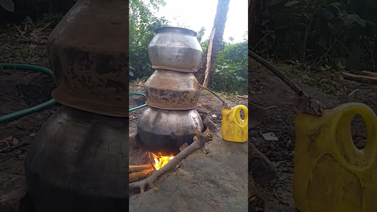 Desi Mahuli Mahuapani 🍯