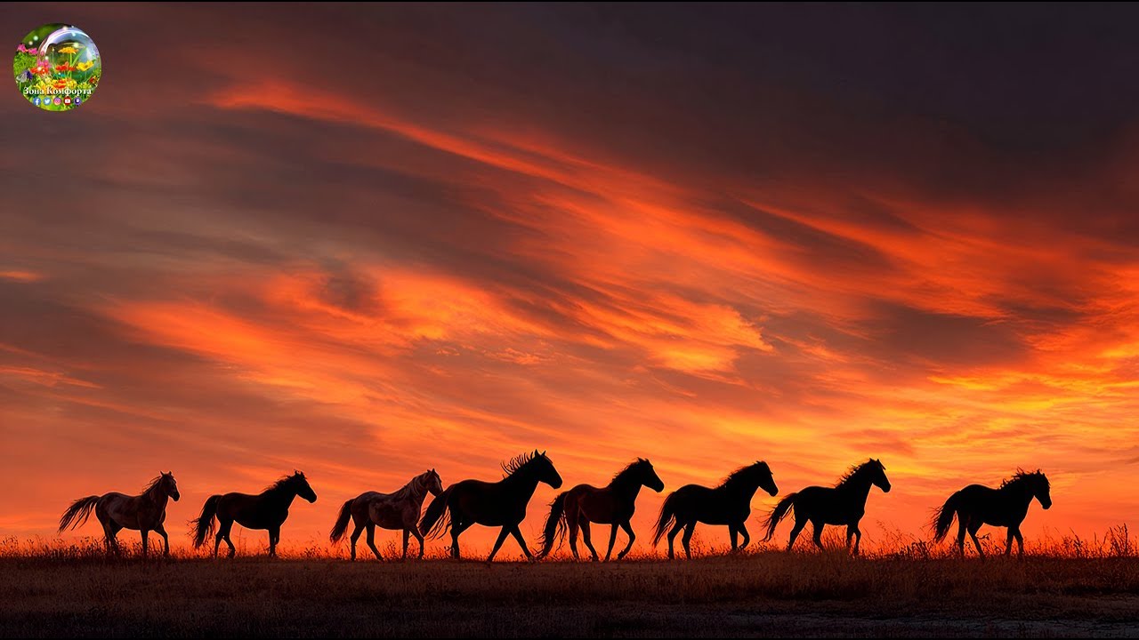 Лучшие мелодии для души и сердца 🎶