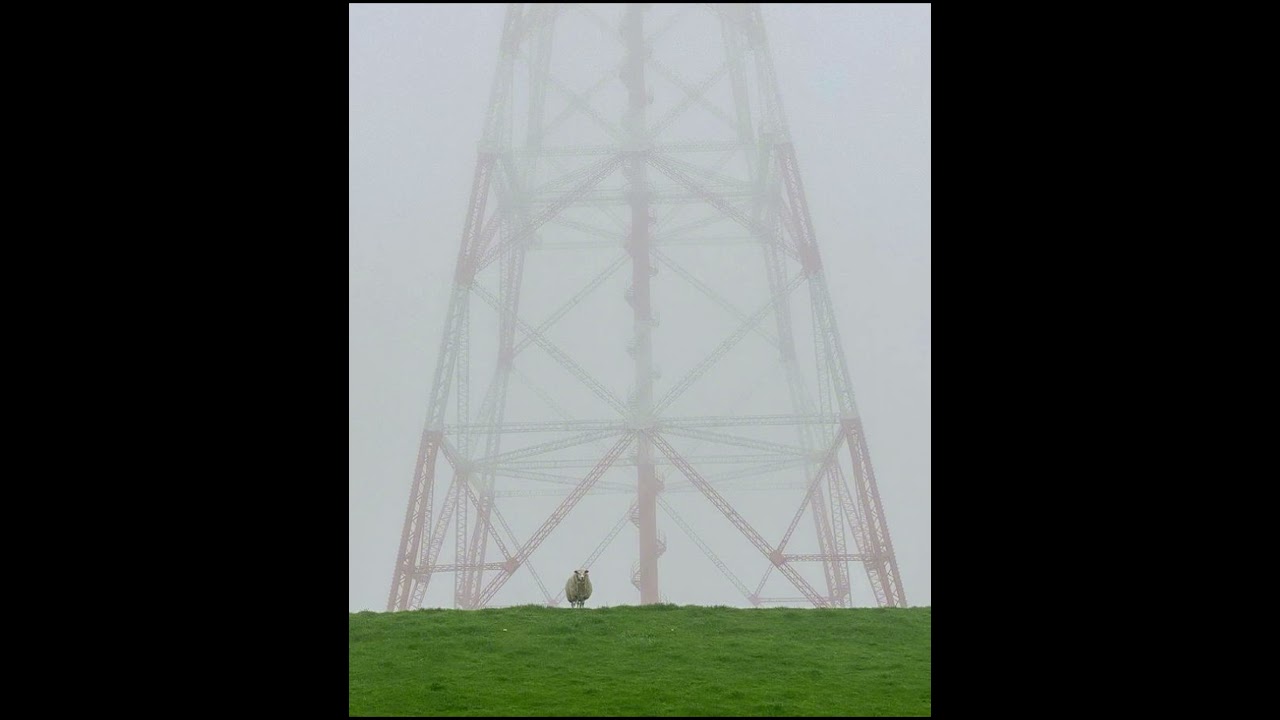 Understanding Megalophobia and Liminal Spaces 🌌
