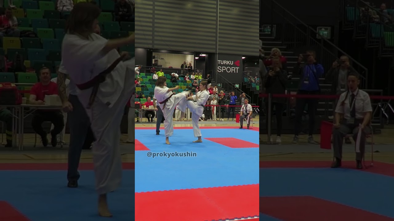 Kyokushin Nordic Cup 2025 in Turku, Finland 🥋