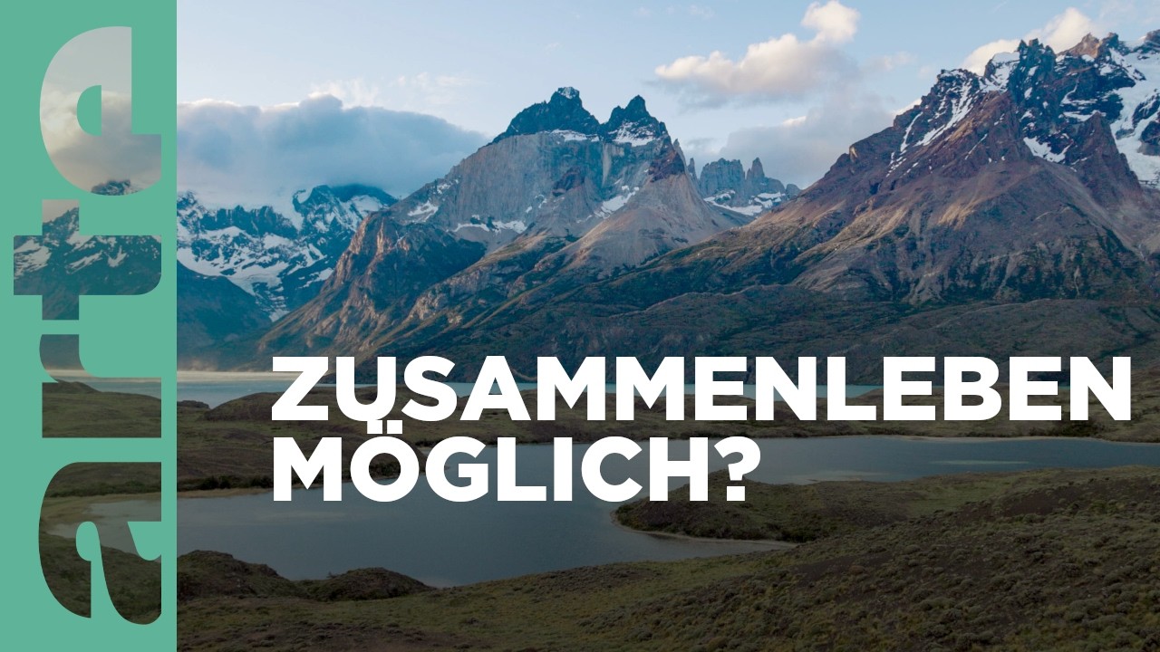 Torres del Paine: Patagonien Naturwunder 🌄