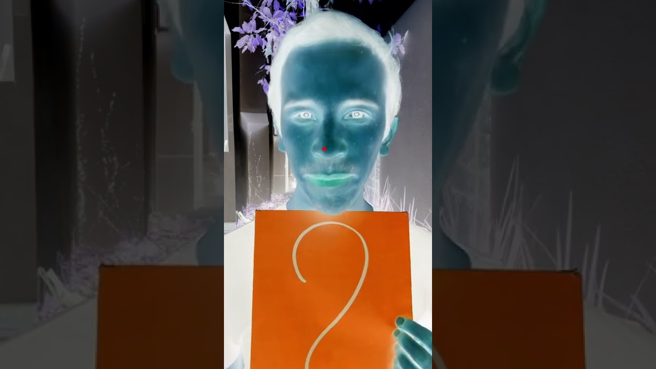 ¿Qué color ves en la hoja? Descúbrelo! 🎨