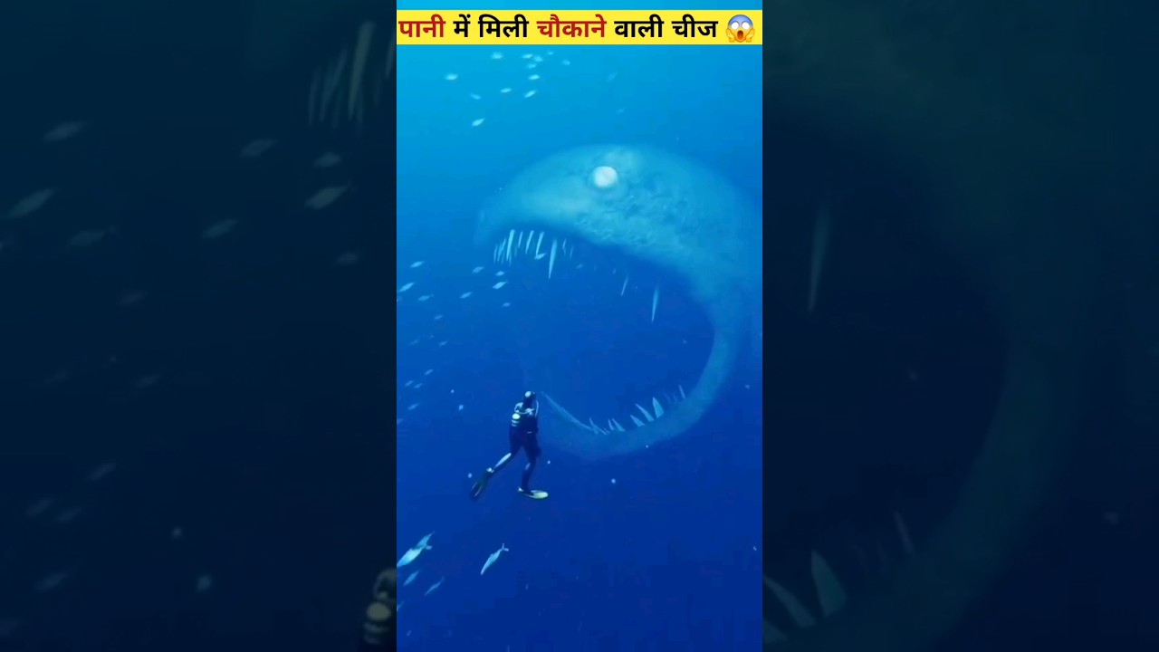 अद्भुत चीजें पानी में देखिए! 🌊