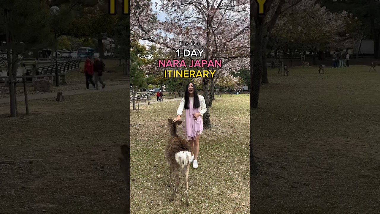 NARA Japan Itinerary Guide 🦌🌸🍂