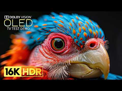 12K VIDEO ULTRA HD