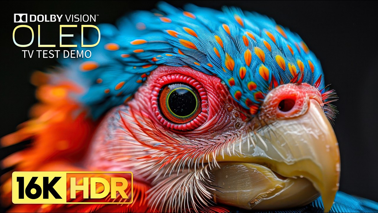 Stunning 16K Ultra HD 120fps Video with Dolby Vision