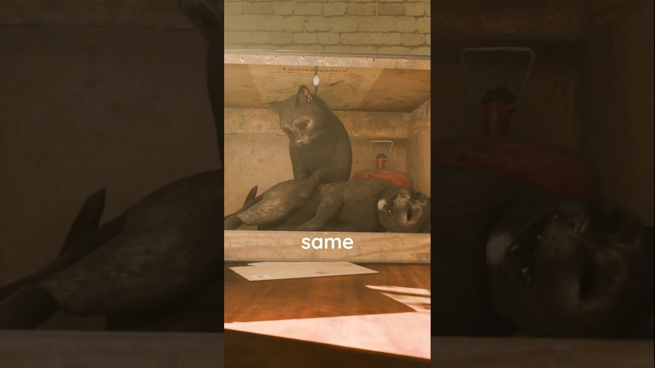 Schrödinger's Cat: Alive, Dead, or Both? 🐱