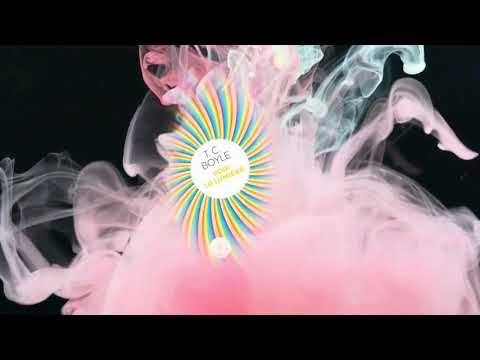 Voir la lumière, Grasset 2020