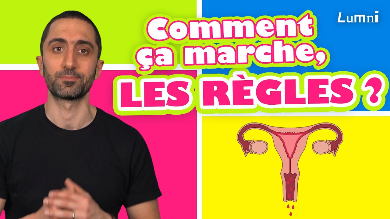 Les règles expliquées par @drjimmymohamed 🩸