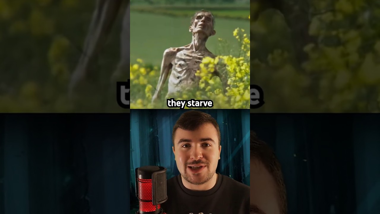 The Dumbest Zombie Movie Ever Made 🎬