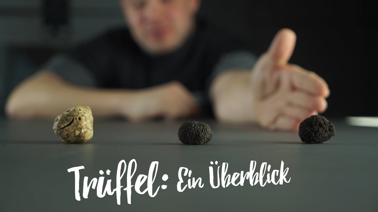 Trüffel-Guide: Alles Wichtige im Überblick 🍄
