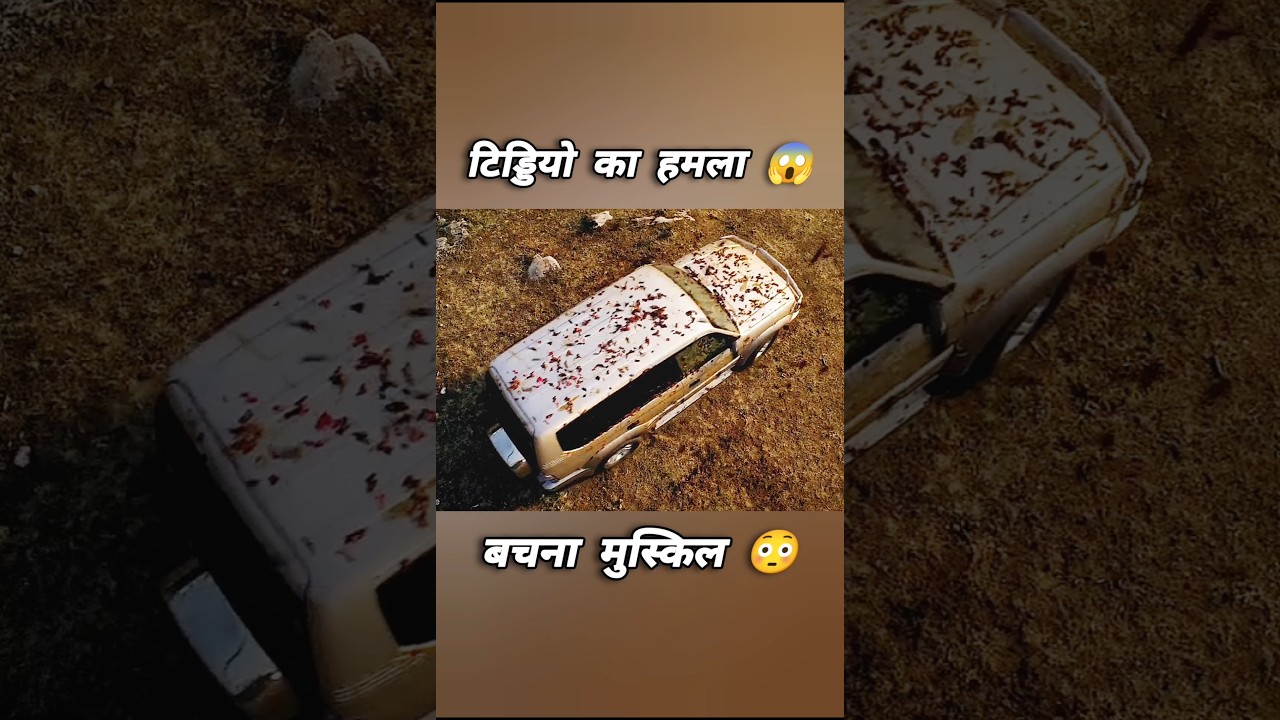 टिड्डियों का खौफनाक हमला! 😱 हॉलीवुड मूवी का हिंदी डब्ड वर्जन | #shorts