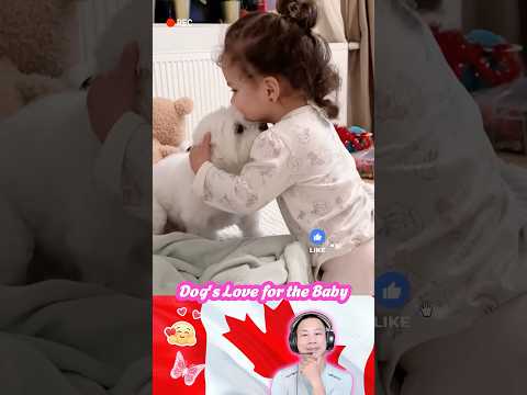 Dog's Love for the Baby🥰❤️😘#Shorts #baby #pet #love #cute #bestfriend #dog