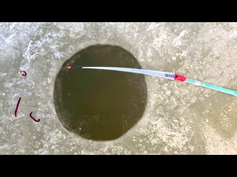 ПЕРВЫЙ ЛЁД...ЛУПИТ КИВОК! ЗАКИНУЛ и УДАРЫ на РЕКЕ! Зимняя рыбалка 2025