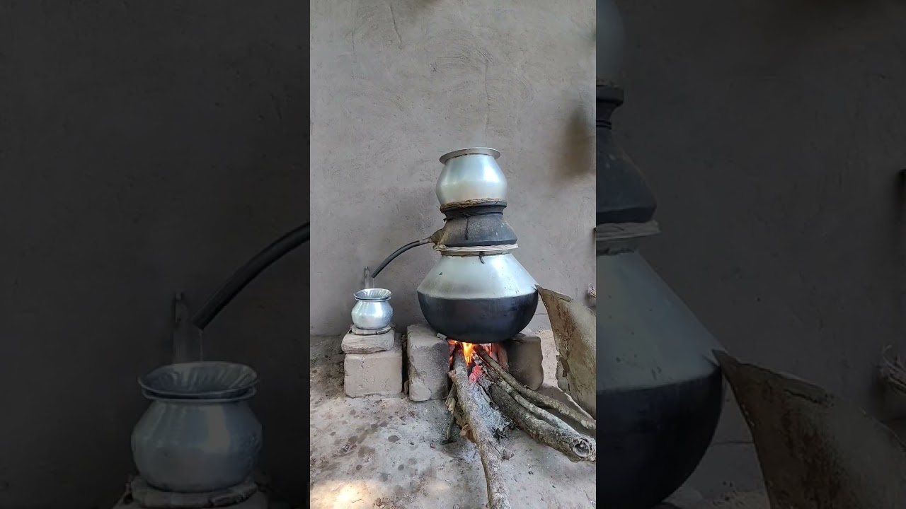 Mahua Alcohol Production in Bastar 🍶