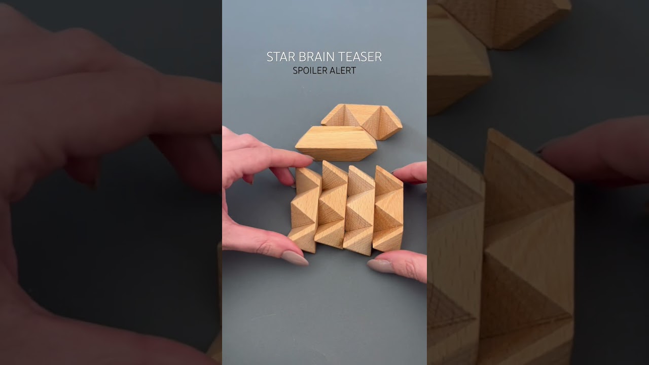 Test Your Mind with Fun Brain Teasers & Wooden Puzzles 🧩