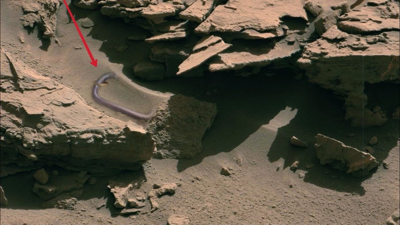 Mars Perseverance Rover Captures Stunning 4K Footage